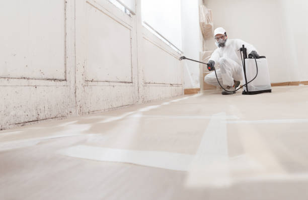 24/7 Emergency Crawl Space Mold Remediation experts in Maplewood, NJ
